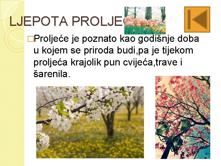 LJEPOTA PROLJEĆA �Proljeće je poznato kao godišnje doba u kojem se priroda budi, pa