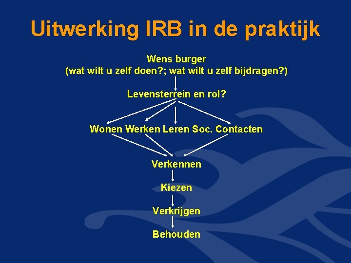 Uitwerking IRB in de praktijk Wens burger (wat wilt u zelf doen? ; wat