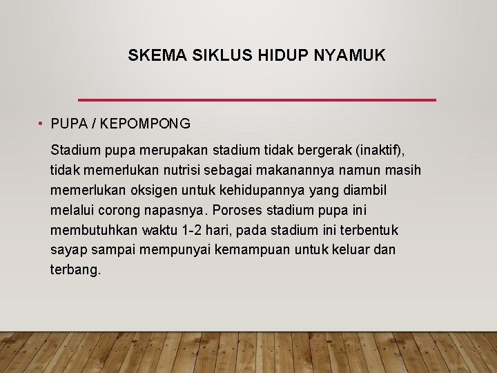 SKEMA SIKLUS HIDUP NYAMUK • PUPA / KEPOMPONG Stadium pupa merupakan stadium tidak bergerak SKEMA SIKLUS HIDUP NYAMUK • PUPA / KEPOMPONG Stadium pupa merupakan stadium tidak bergerak