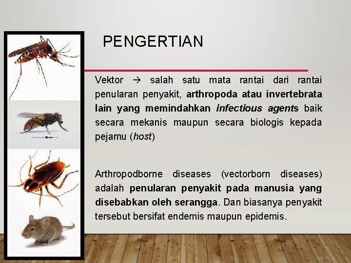 PENGERTIAN • Vektor salah satu mata rantai dari rantai penularan penyakit, arthropoda atau invertebrata