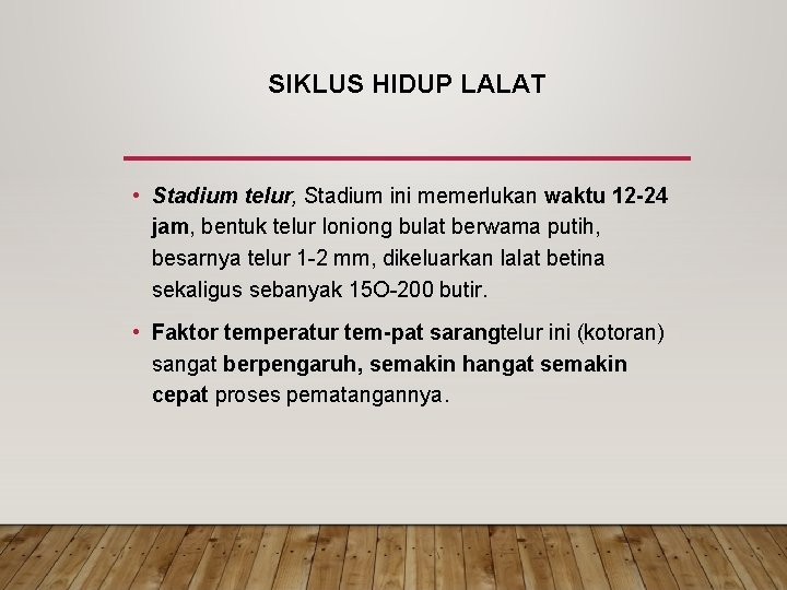 SIKLUS HIDUP LALAT • Stadium telur, Stadium ini memerlukan waktu 12 24 jam, bentuk