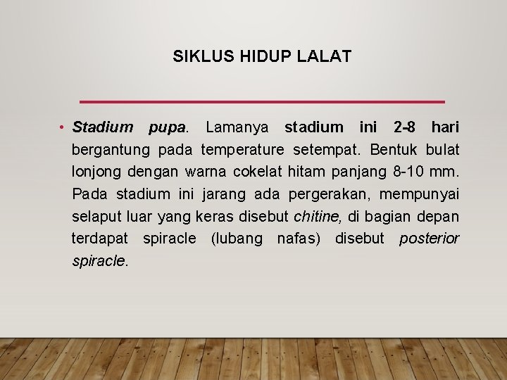 SIKLUS HIDUP LALAT • Stadium pupa. Lamanya stadium ini 2 8 hari bergantung pada