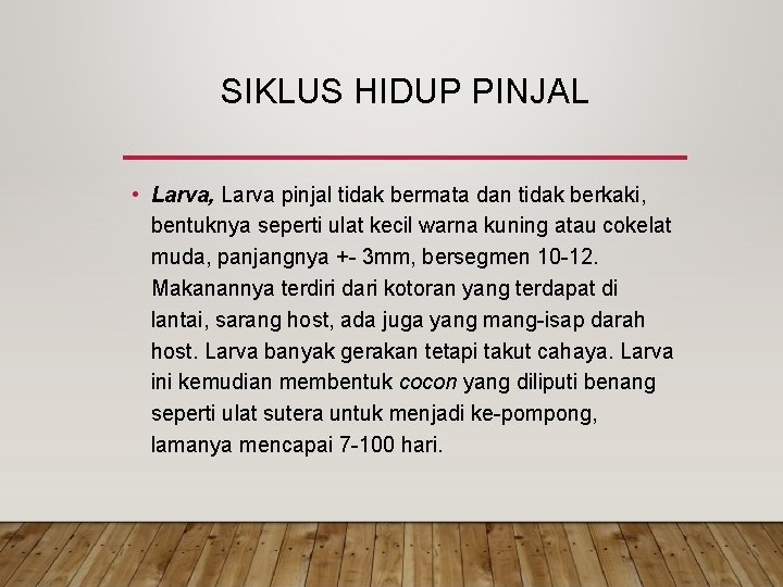 SIKLUS HIDUP PINJAL • Larva, Larva pinjal tidak bermata dan tidak berkaki, bentuknya seperti