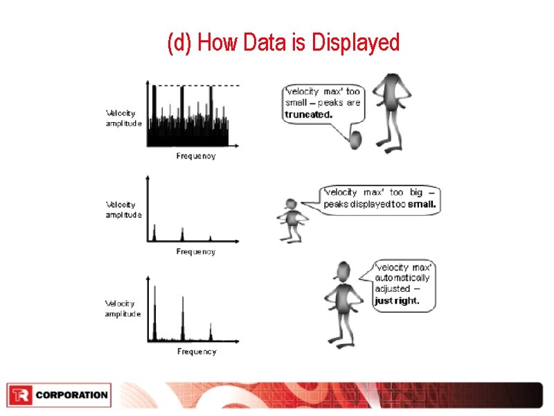 (d) How Data is Displayed 