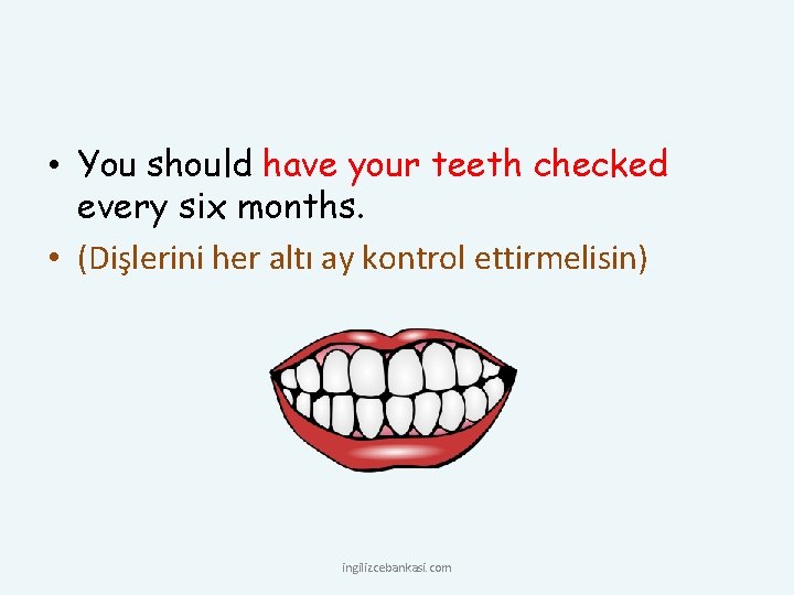  • You should have your teeth checked every six months. • (Dişlerini her