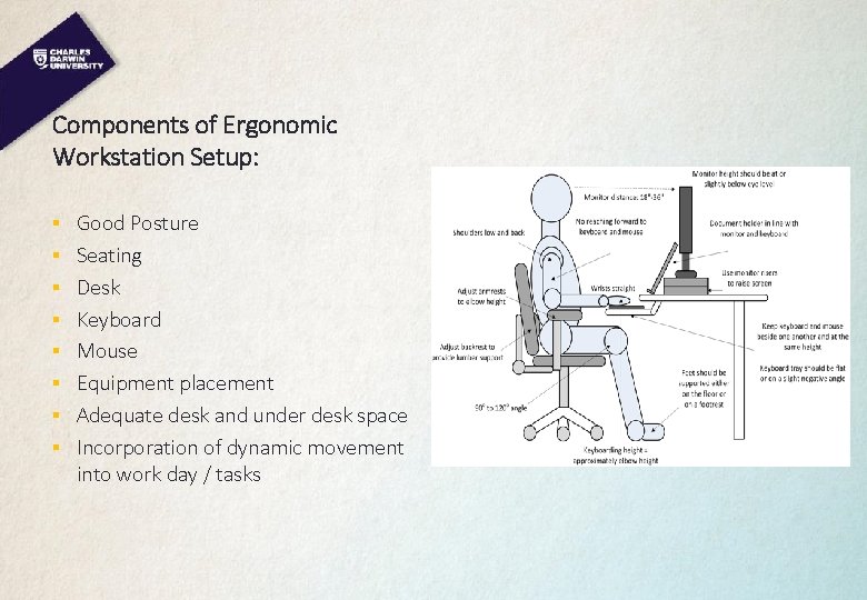 Components of Ergonomic Workstation Setup: § Good Posture § Seating § Desk § Keyboard