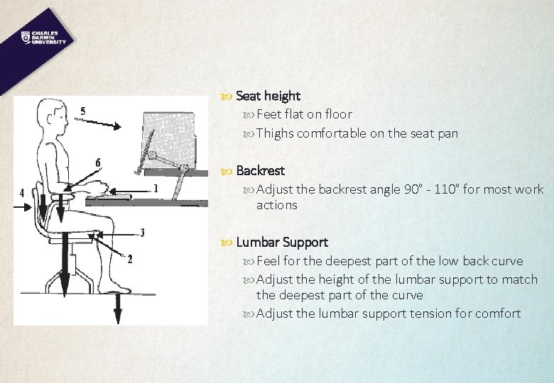  Seat height Feet flat on floor Thighs comfortable on the seat pan Backrest
