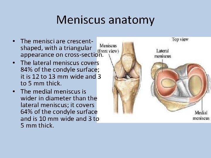 Meniscus anatomy • The menisci are crescentshaped, with a triangular appearance on cross-section. •