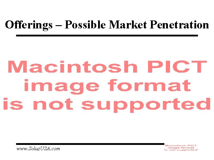 Offerings – Possible Market Penetration www. Soluz. USA. com 