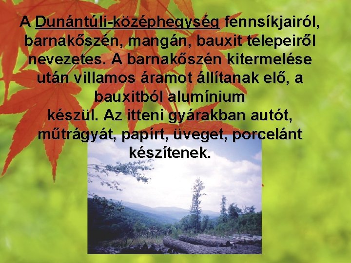 A Dunántúli-középhegység fennsíkjairól, barnakőszén, mangán, bauxit telepeiről nevezetes. A barnakőszén kitermelése után villamos áramot