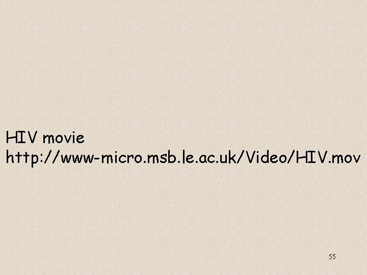  HIV movie http: //www-micro. msb. le. ac. uk/Video/HIV. mov 55 
