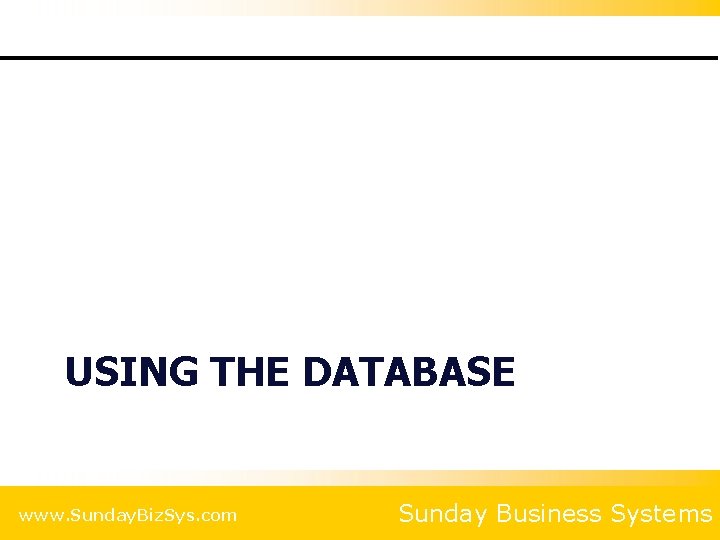 USING THE DATABASE www. Sunday. Biz. Sys. com Sunday Business Systems 