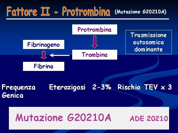(Mutazione G 20210 A) Protrombina Fibrinogeno Trombina Trasmissione autosomica dominante Fibrina Frequenza Genica Eterozigosi