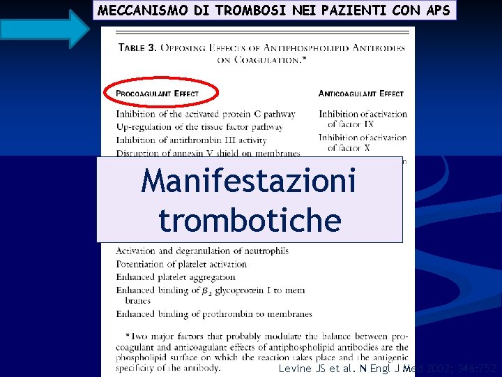 MECCANISMO DI TROMBOSI NEI PAZIENTI CON APS Manifestazioni trombotiche Levine JS et al. N