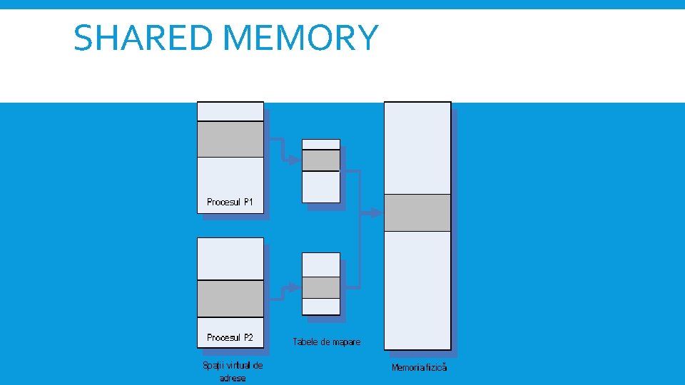 SHARED MEMORY 