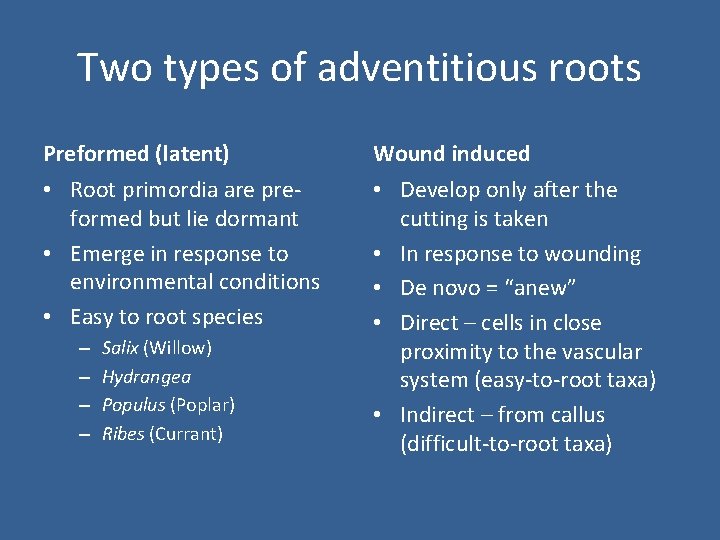 Two types of adventitious roots Preformed (latent) Wound induced • Root primordia are preformed