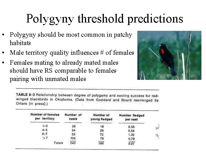 Polygyny threshold predictions • Polygyny should be most common in patchy habitats • Male