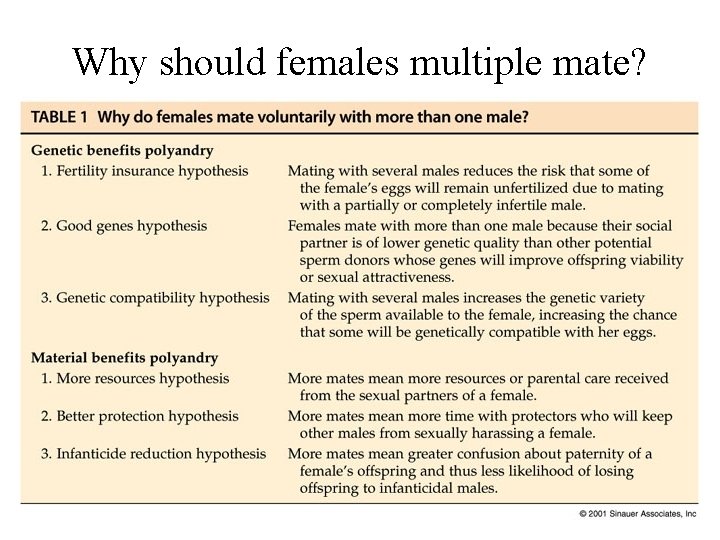 Why should females multiple mate? 