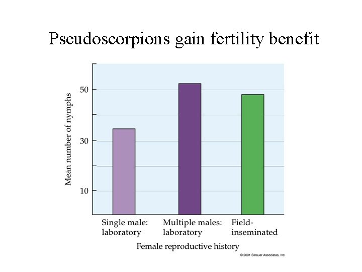 Pseudoscorpions gain fertility benefit 