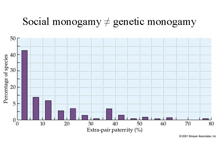 Social monogamy ≠ genetic monogamy 