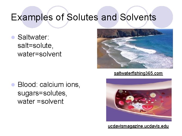 Examples of Solutes and Solvents l Saltwater: salt=solute, water=solvent saltwaterfishing 365. com l Blood: