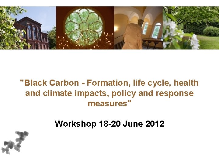 "Black Carbon - Formation, life cycle, health and climate impacts, policy and response measures"