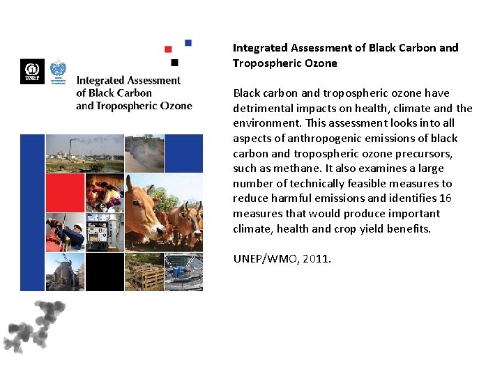Integrated Assessment of Black Carbon and Tropospheric Ozone Black carbon and tropospheric ozone have