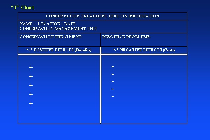 “T” Chart CONSERVATION TREATMENT EFFECTS INFORMATION NAME – LOCATION – DATE CONSERVATION MANAGEMENT UNIT