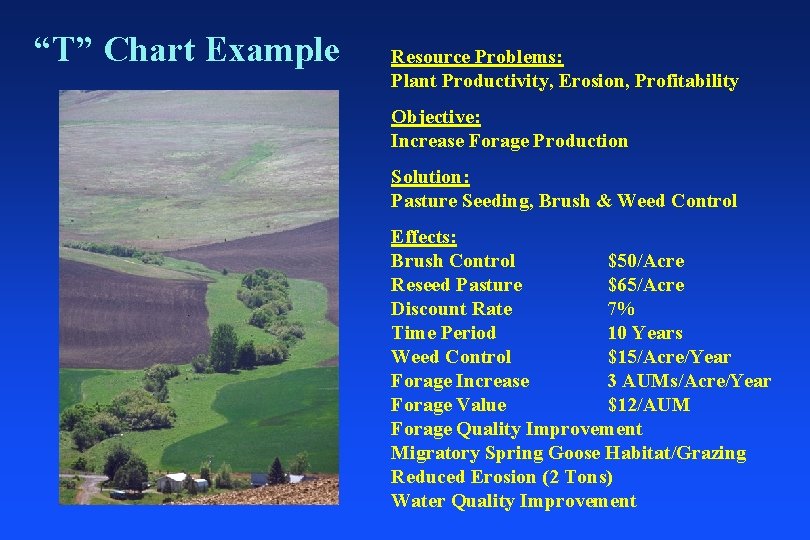 “T” Chart Example Resource Problems: Plant Productivity, Erosion, Profitability Objective: Increase Forage Production Solution: