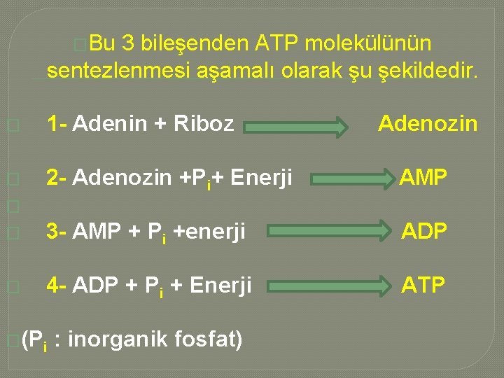 �Bu 3 bileşenden ATP molekülünün sentezlenmesi aşamalı olarak şu şekildedir. � 1 - Adenin