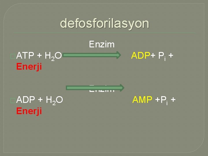 defosforilasyon Enzim �ATP + H 2 O Enerji ADP+ Pi + Enzim �ADP +
