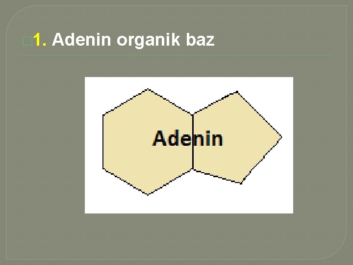 � 1. Adenin organik baz 
