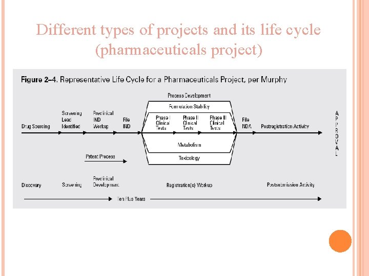 Different types of projects and its life cycle (pharmaceuticals project) 