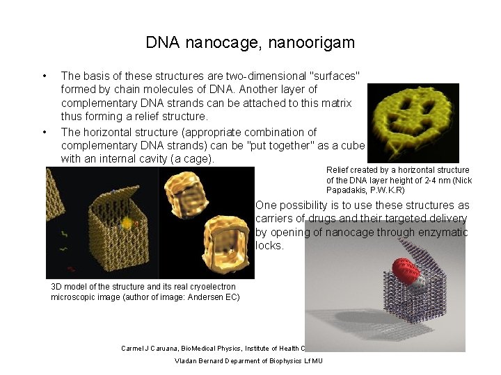 DNA nanocage, nanoorigam • • The basis of these structures are two-dimensional "surfaces" formed
