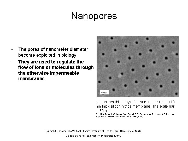 Nanopores • • The pores of nanometer diameter become exploited in biology. They are