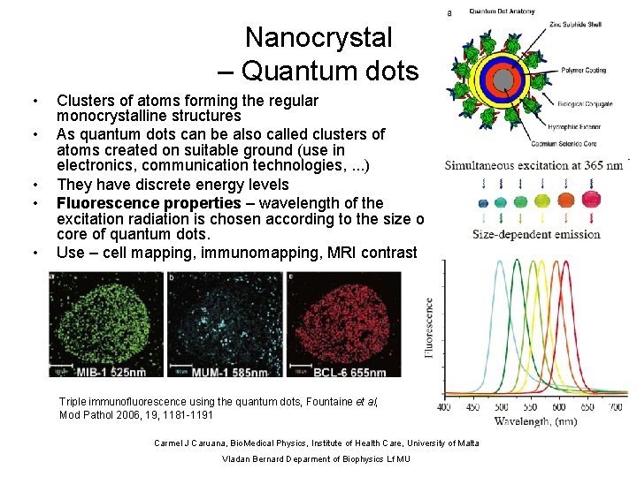 Nanocrystal – Quantum dots • • • Clusters of atoms forming the regular monocrystalline