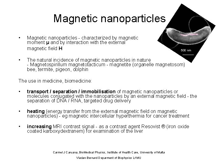 Magnetic nanoparticles • • Magnetic nanoparticles - characterized by magnetic moment μ and by