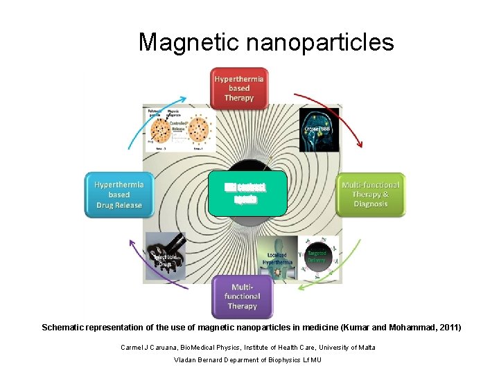 Magnetic nanoparticles 500 nm Schematic representation of the use of magnetic nanoparticles in medicine