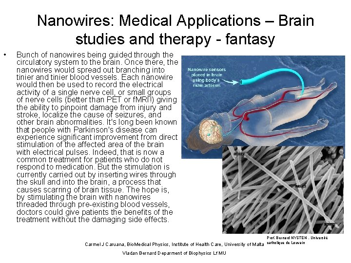 Nanowires: Medical Applications – Brain studies and therapy - fantasy • Bunch of nanowires