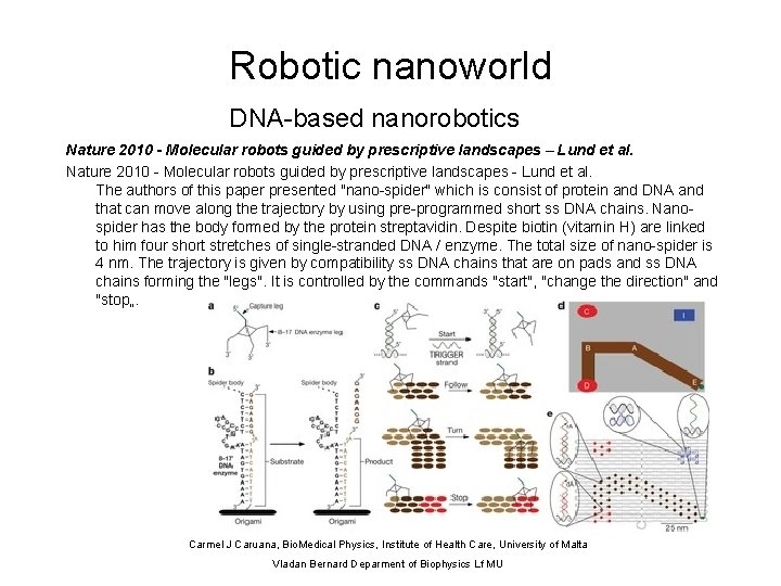 Robotic nanoworld DNA-based nanorobotics Nature 2010 - Molecular robots guided by prescriptive landscapes –