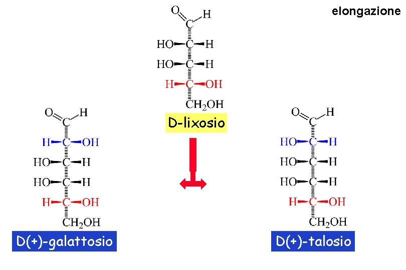 elongazione D-lixosio D(+)-galattosio D(+)-talosio 