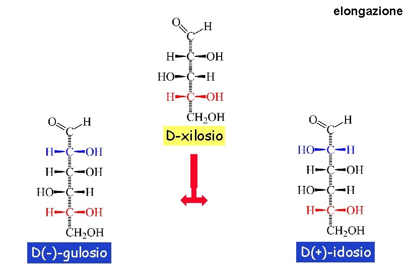 elongazione D-xilosio D(-)-gulosio D(+)-idosio 