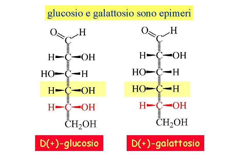 glucosio e galattosio sono epimeri D(+)-glucosio D(+)-galattosio 