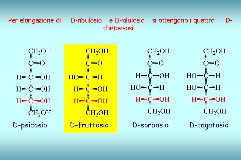 Per elongazione di D-psicosio D-ribulosio e D-xilulosio chetoesosi D-fruttosio si ottengono i quattro D-sorbosio