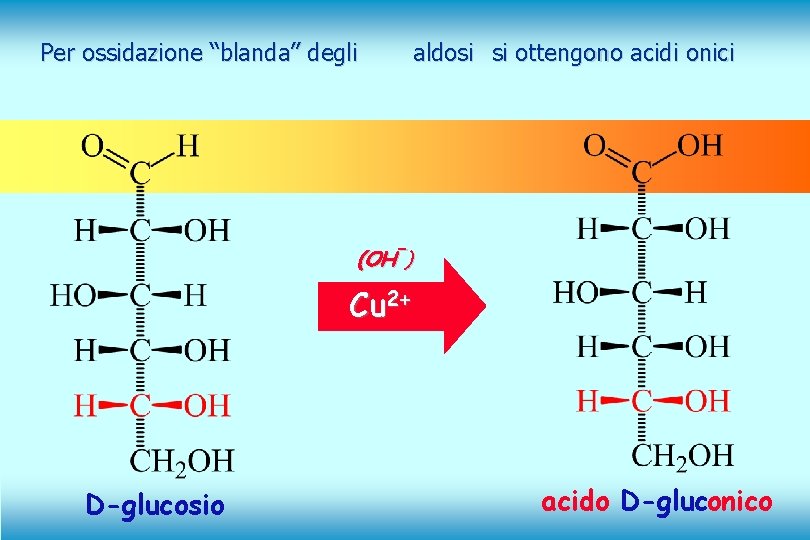 Per ossidazione “blanda” degli aldosi si ottengono acidi onici - (OH -) Cu 2+