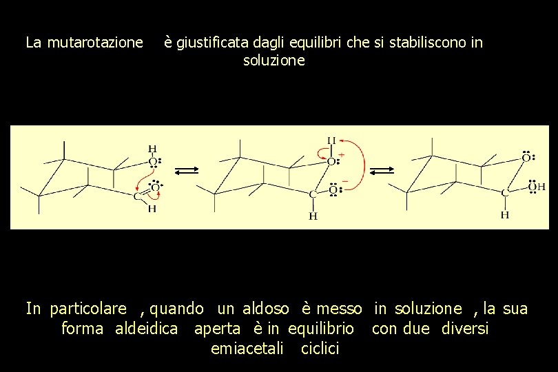 La mutarotazione è giustificata dagli equilibri che si stabiliscono in soluzione In particolare ,