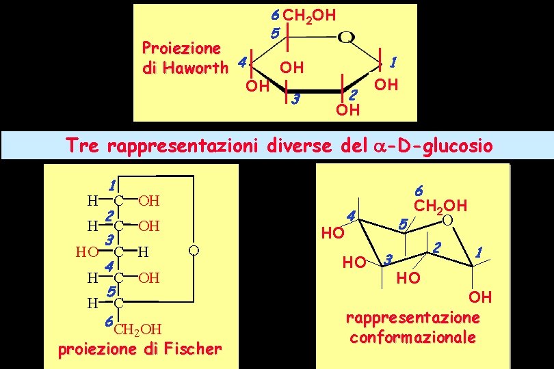 Proiezione di Haworth 4 6 CH 2 OH 5 1 OH OH 3 2