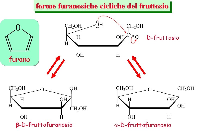 forme furanosiche cicliche del fruttosio D-fruttosio furano -D-fruttofuranosio 