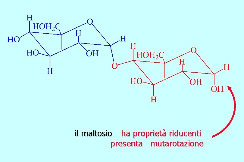 il maltosio ha proprietà riducenti presenta mutarotazione 
