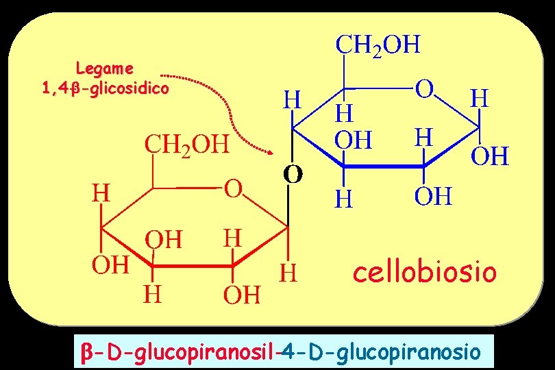 Legame 1, 4 - -glicosidico cellobiosio -D-glucopiranosil-4 -D-glucopiranosio 